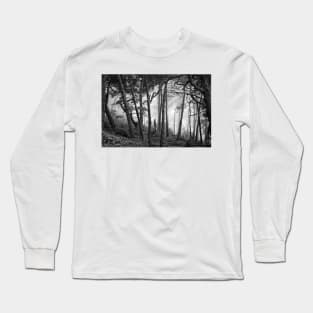Fog In Scenic Forest At Point Reyes National Seashore Long Sleeve T-Shirt